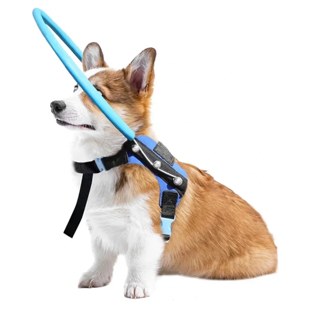 Blind Dog Halo Harness - Picture 1 of 5
